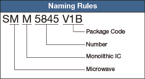 Naming Rule