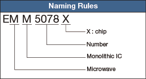 Naming Rule