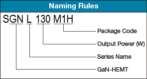 Naming Rule