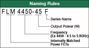 Naming Rule